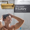 image:imageSparkPod Rain Shower Head 6 Inch Round Egyptian Gold FinishEgyptian Gold